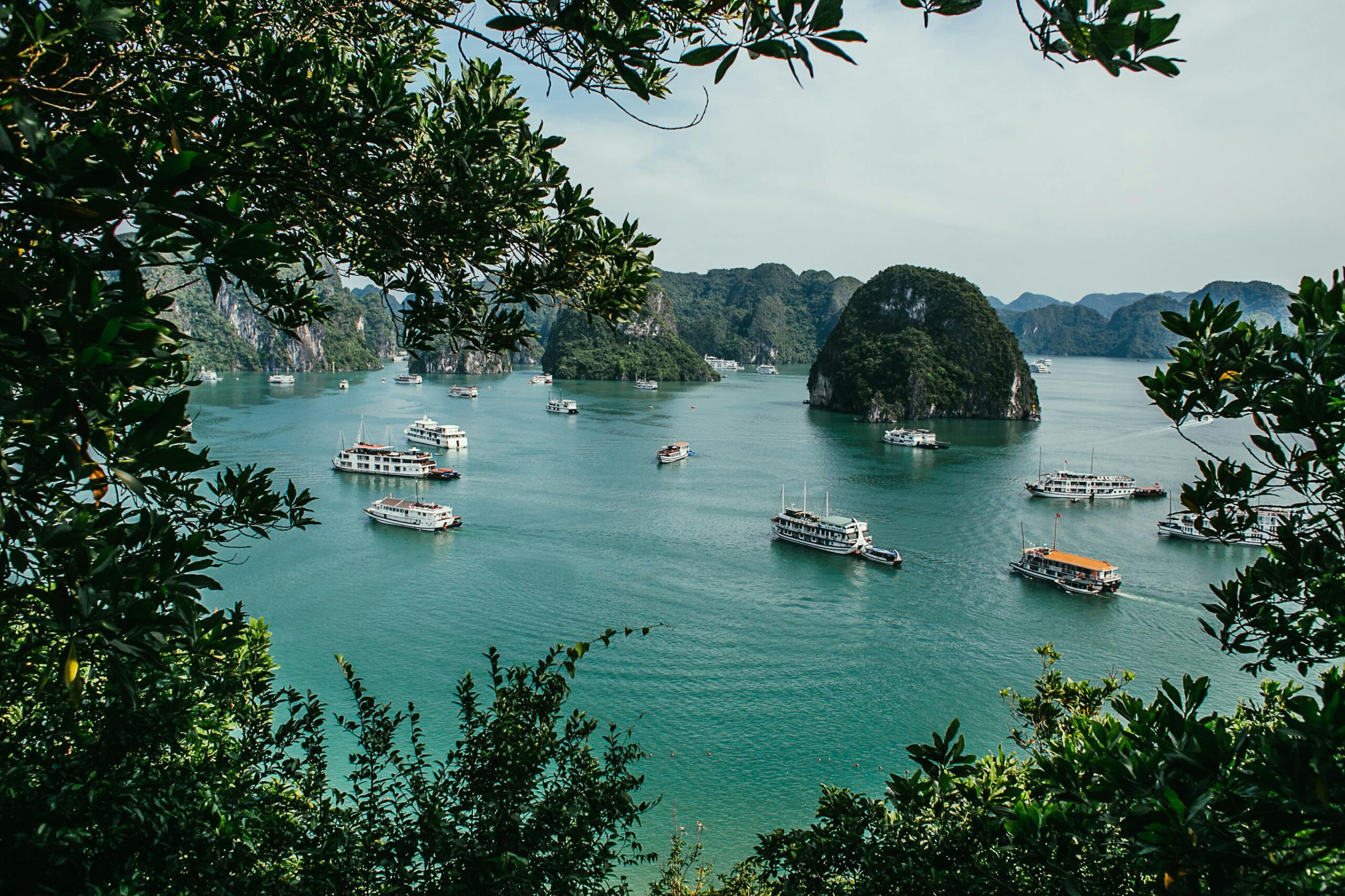 Discover the serene beauty of a bay filled with cruise boats, set against lush hills and tranquil waters.